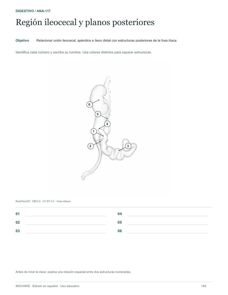 Página 149 del cuaderno: Región ileocecal